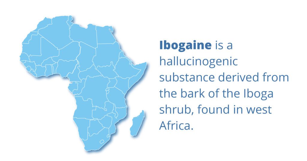 ibogaine is a hallucinogenic substance derived from the bark of the iboga shrub drug rehab florida alcohol rehab florida